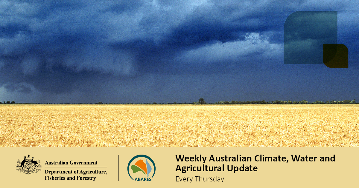 Much of NSW, southern Qld and eastern Vic have received an early autumn break, with at least 30mm of rainfall over any 7 days in March/early April. Follow-up falls in April should mean these regions will be in an ideal position for winter crop plantings: brnw.ch/21wIJMm