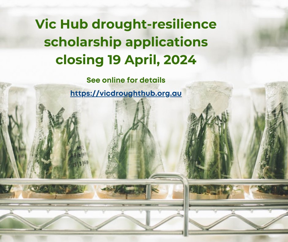 🌟 Closing next week! 🌟 Honours & post-grad researchers, dive into #droughtresilience with 5 x $2000 scholarships from the #VicHub! Apply by April 19 to make a difference in Victorian farming and communities. Don’t miss out vicdroughthub.org.au/news-events/ne…