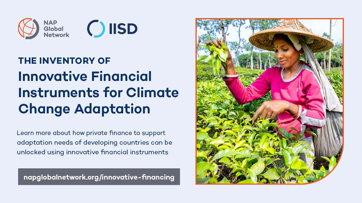 We need to look beyond traditional sources of 💵 to close the adaptation finance gap. But how can countries unlock private investment to help build resilience? Check out our inventory of innovative financial instruments 🔗 bit.ly/4cRGHCw #NAPfinance #climatefinance