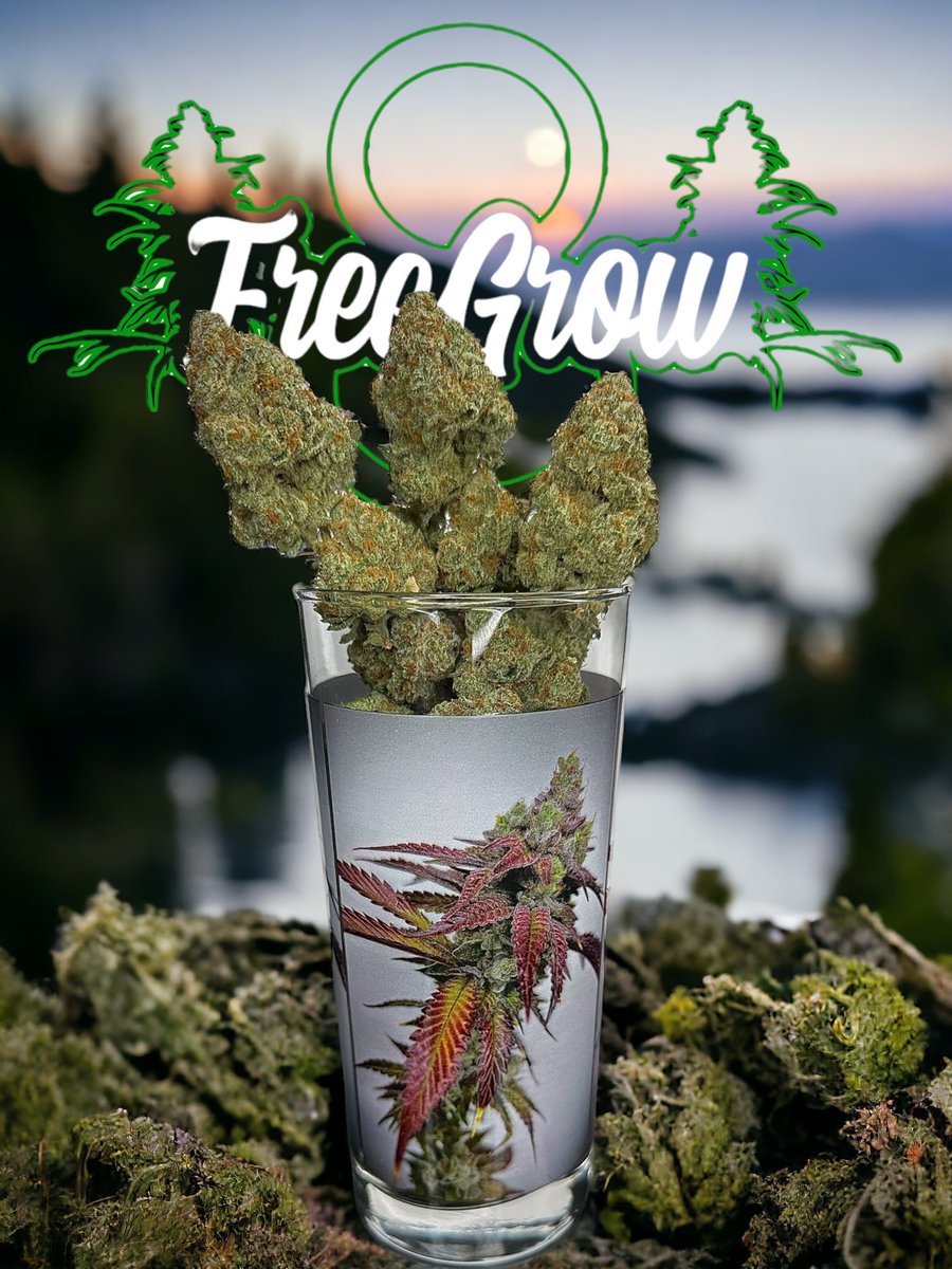 freegrow8 tweet picture