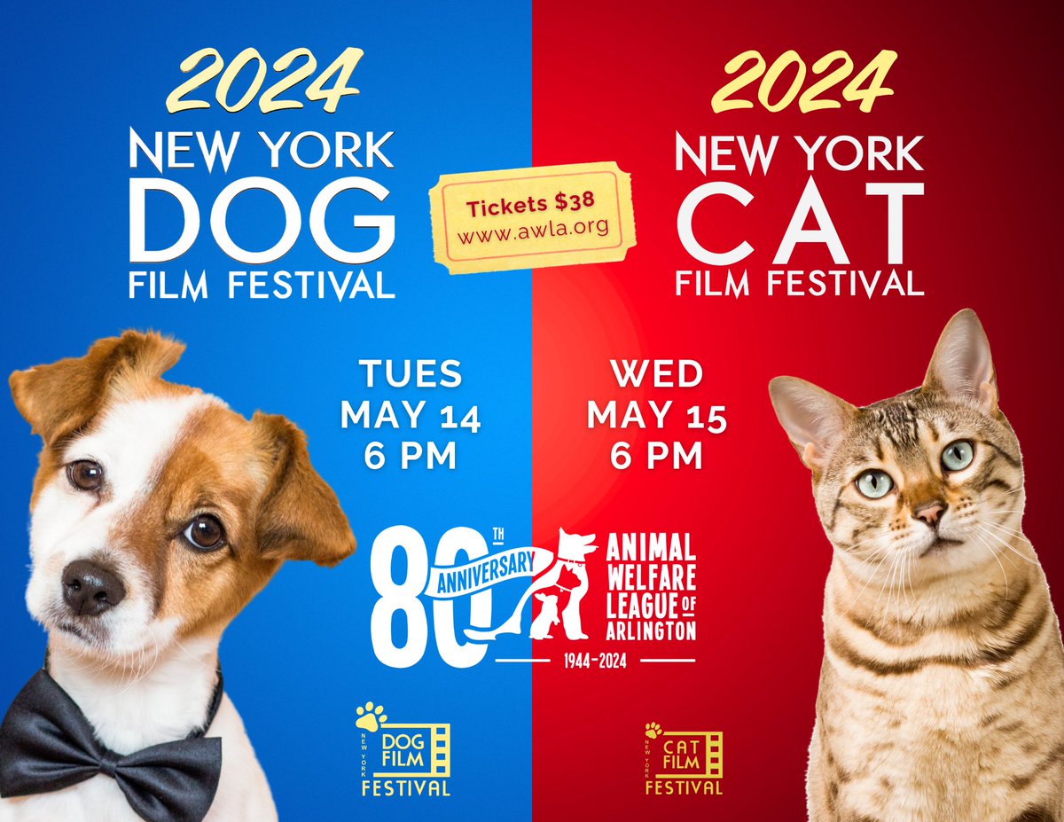 Are you a fan of cat videos, or do you prefer dog videos? Or maybe...both?! Then you won't want to miss out on the NY Dog and Cat Film Festivals! Learn more and get your tickets at loom.ly/joXIDhA