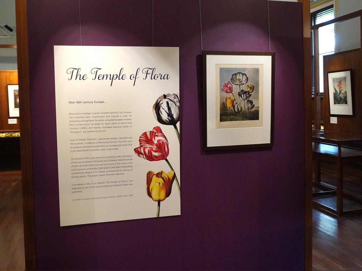 BotGardensSA's tweet photo. Our #MuseumofEconomicBotany is currently home to a stunning exhibition featuring prints from the #TempleofFlora – considered one of the most prized botanical books in the world.
Open daily until the end of June. You don't want to miss it. #adelaidebotanicgarden https://t.co/E4kc5UrFUr