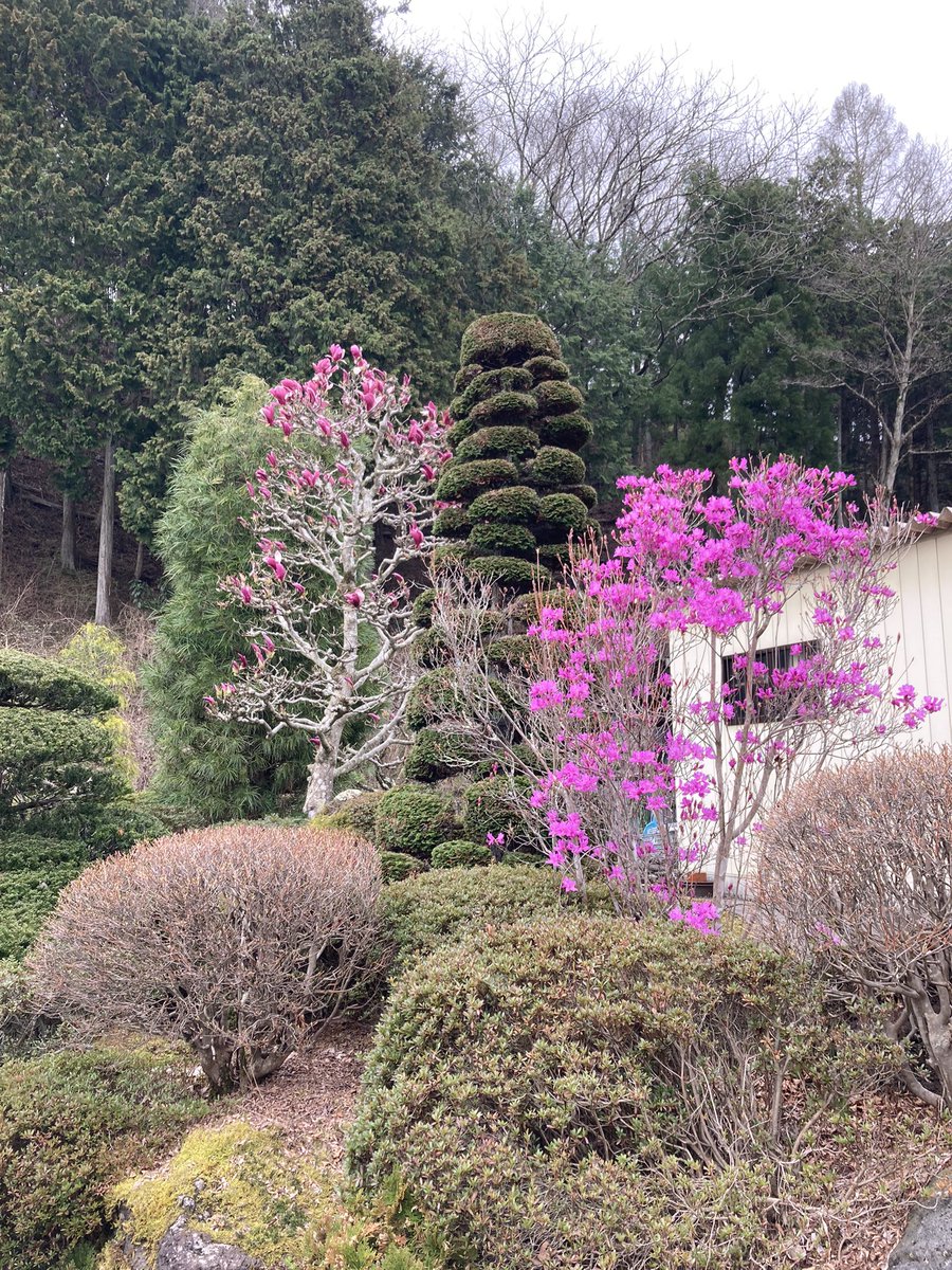 CYON(@fuwa_cyon) - Twilog (ツイログ)