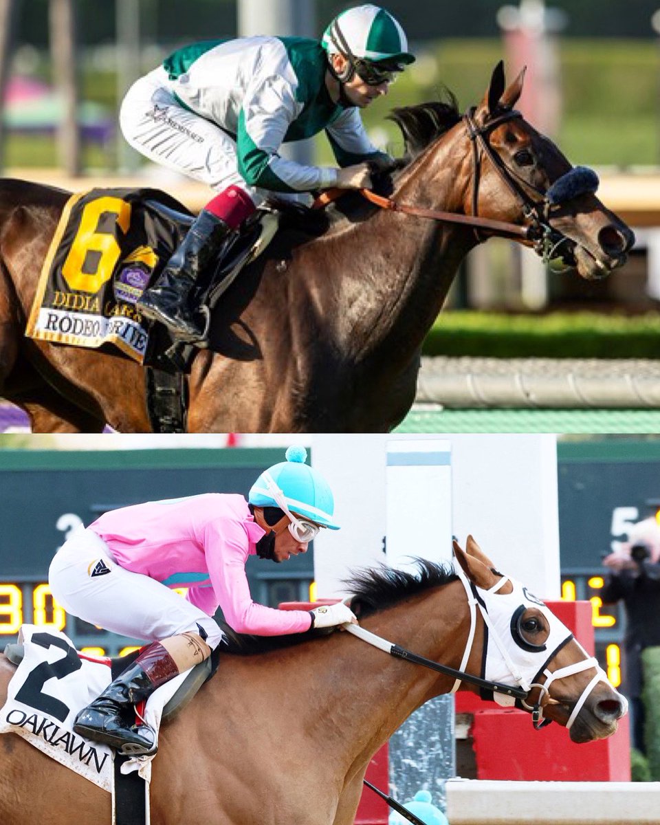 🚨Big weekend for Resolute Racing coming up!!🚨 DIDIA is running in the Jenny Wiley Stakes at @keeneland, and MISTY VEIL running in the Apple Blossom Stakes @OaklawnRacing - both this Saturday! DIDIA is running for the first time since her win in the Pegasus Filly & Mare Turf