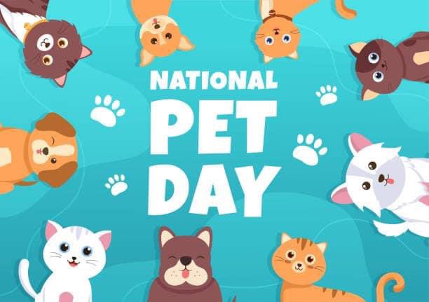 Show us all the pets!!!! Happy National Pet Day!!! #CheerUp #NationalPetDay2024 #NationalPetDay #PetDay