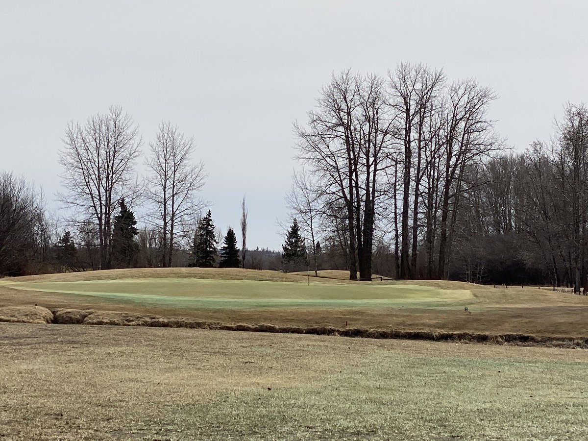 Good afternoon golfers. We’ve been rocking and rolling since Apr 2. Course is in great early spring shape. On all 18 greens. Thanks to John, Brad & crew putting the course to bed in the fall with their experience so we can enjoy this early start. #playsandpiper #yeggolf ⛳️🏌️‍♀️🏌️‍♂️😎