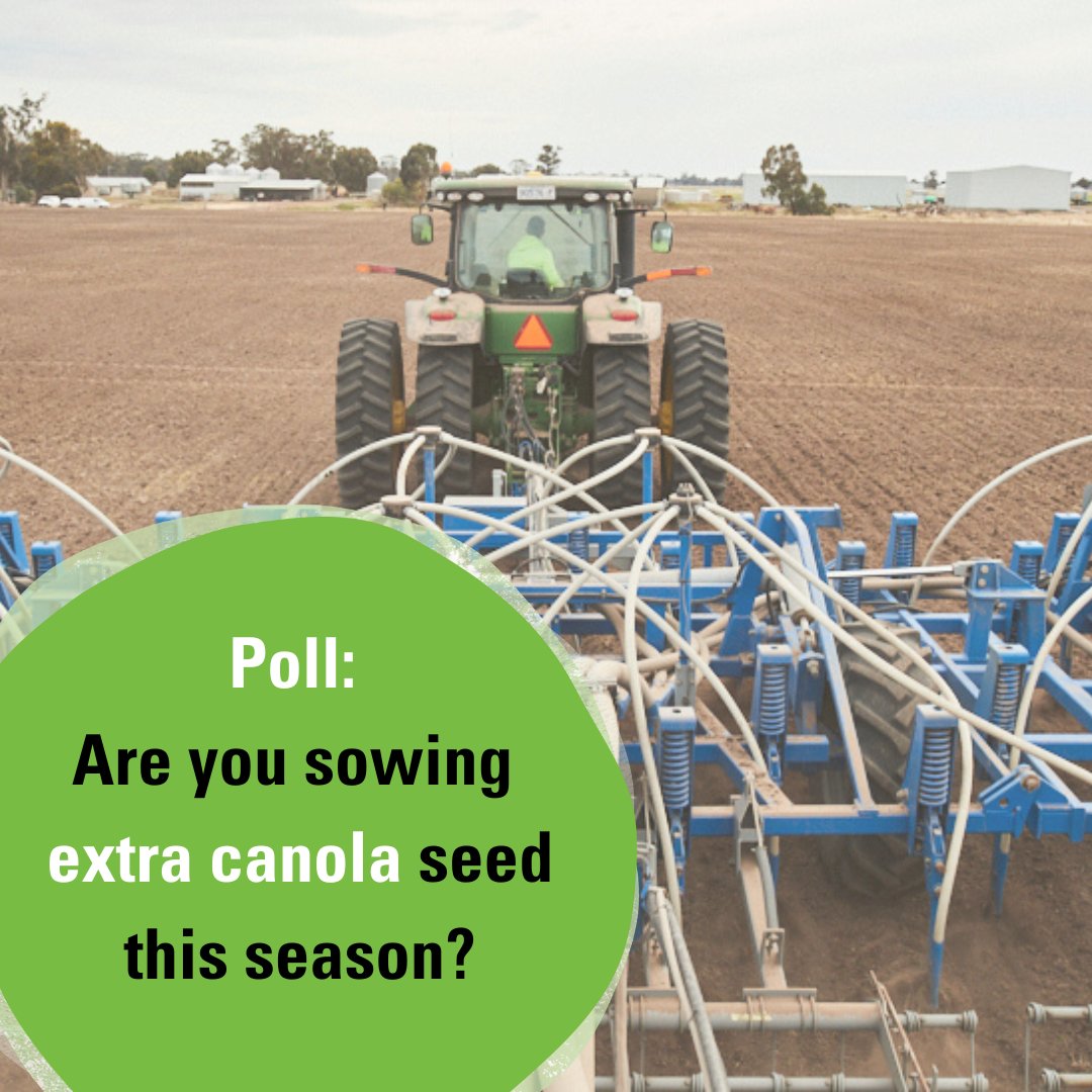 🚜Australia's canola regions are a hive of activity this time of year.

We'd like to know, are you sowing and extra #canola this year?

#Nuseed #NuseedAustralia #Canola24 #Plan24