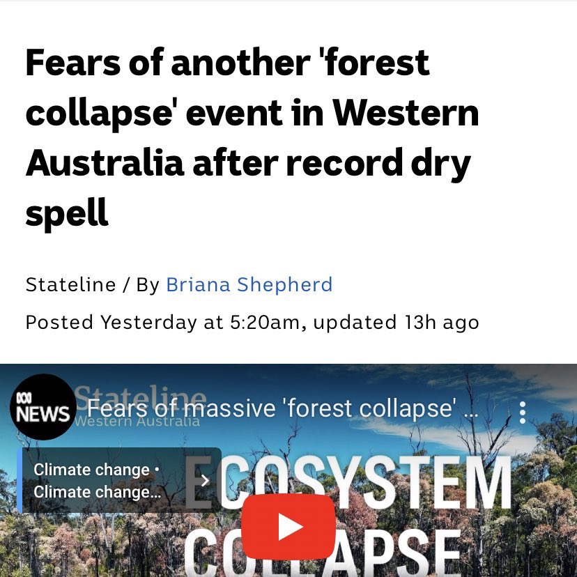 In Western Australia, the world's first 'forest collapse' reportedly occurred in 2010/11. Now after WA’s driest six months on record, it may happen again. This is climate change. It’s devastating. We must transition out of fossil fuels as fast as we can abc.net.au/news/2024-04-1…