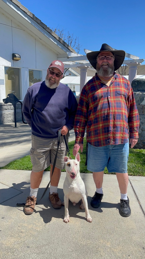 It is with great pleasure that we share the most SPECTACULAR news: Berlin has left the building!!👏🎉😍🖤🤍

He is going home with a pair of brothers who have had Bull Terriers all their life. They saw him on @ABC7LA and now he's on his way to his new life in Laguna Beach.
