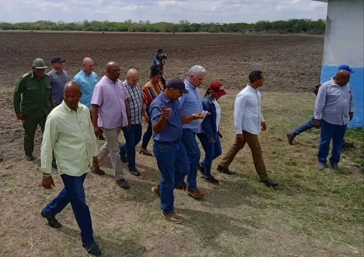 En Polo productivo Cauto la Yaya, el 1er Sec del PCC fue testigo de los esfuerzos por explotar al máximo las 1 165 Ha. Así mismo sugirió que se queden trabajando los soldados del EJT .'Estás ocho máquinas bien atendidas darán alimentos' Y agregó 'Hay que volver aquí' @MinfarC