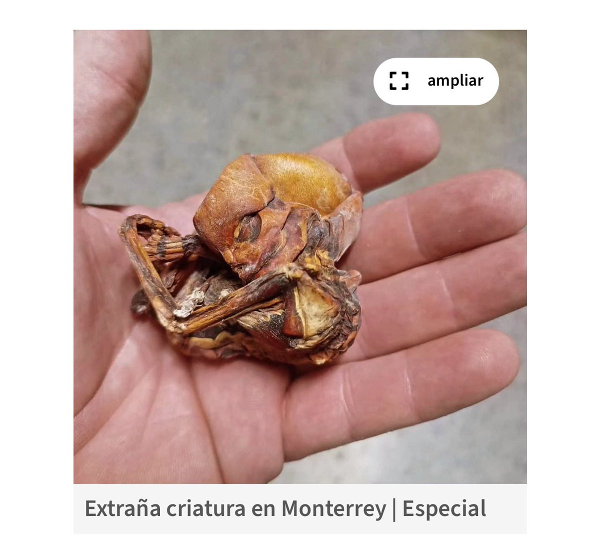 Out Of Context Monterrey tweet media