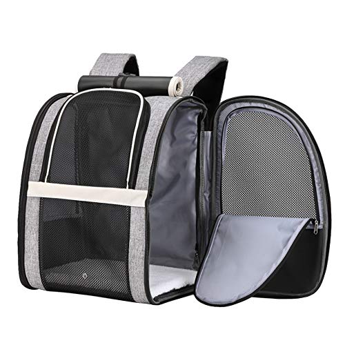 I just received Texsens Pet Carrier Backpack with Window Blind for Small Cats Dogs, Ventilated Design, Safety Straps, Buckle Support, Collapsible, Designed for Travel, Hiking, Winter Outing, Outdoo from dash4u via Throne. Thank you! throne.com/sitri #Wishlist #Throne