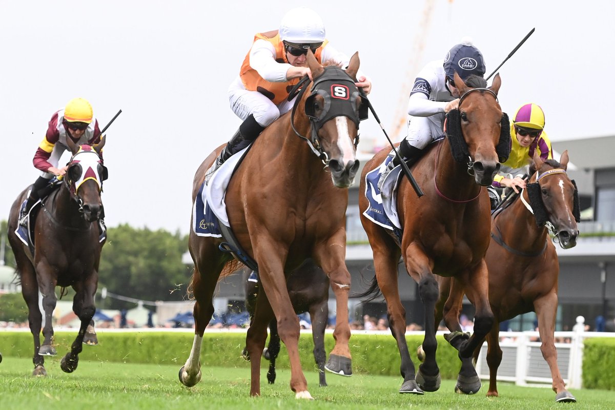 “I thought ‘we might have been unlucky’ but maybe we weren’t, that’s good form going into this for sure.” Peter Snowden hopes the Group 1 form around Tashi holds up in Saturday's G2 Sapphire Stakes at Randwick. 📸Steve Hart READ: tinyurl.com/4e2rhwbs