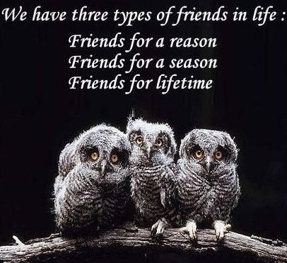 We have three types of friends in life: friends for a reason, friends for a season, and friends for a lifetime.