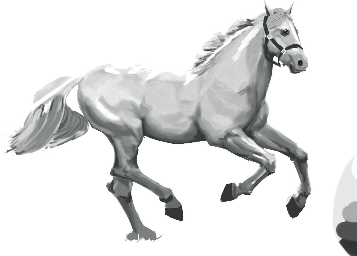 horse drawing