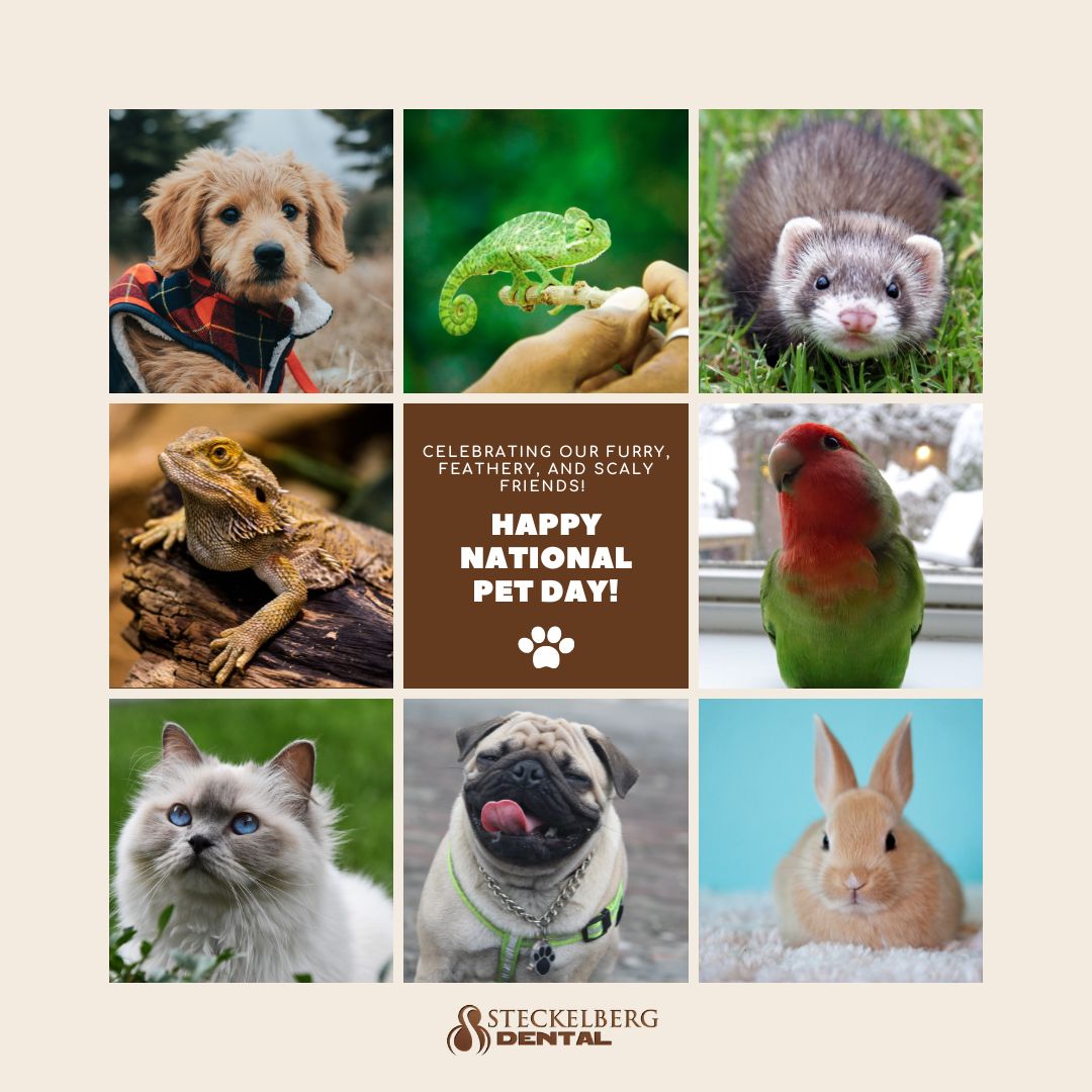 From fluffy to scaly, every pet deserves a celebration! 🐾 Happy National Pet Day! 🐶🐱🐦🐍 #NationalPetDay #FluffyFriends #ScalyPets #dentist #dentalcare #cosmeticdentist #steckelbergdental #cosmeticdentist #childrensdentistry #ortho #orthodontictreatments #lincolnnb #lincoln