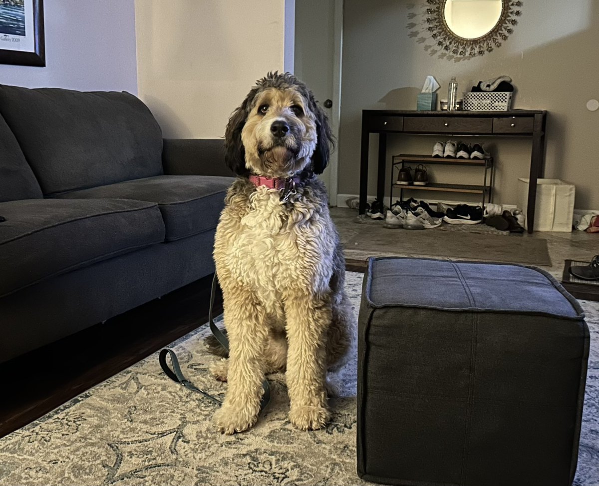 David Snyder tweet media