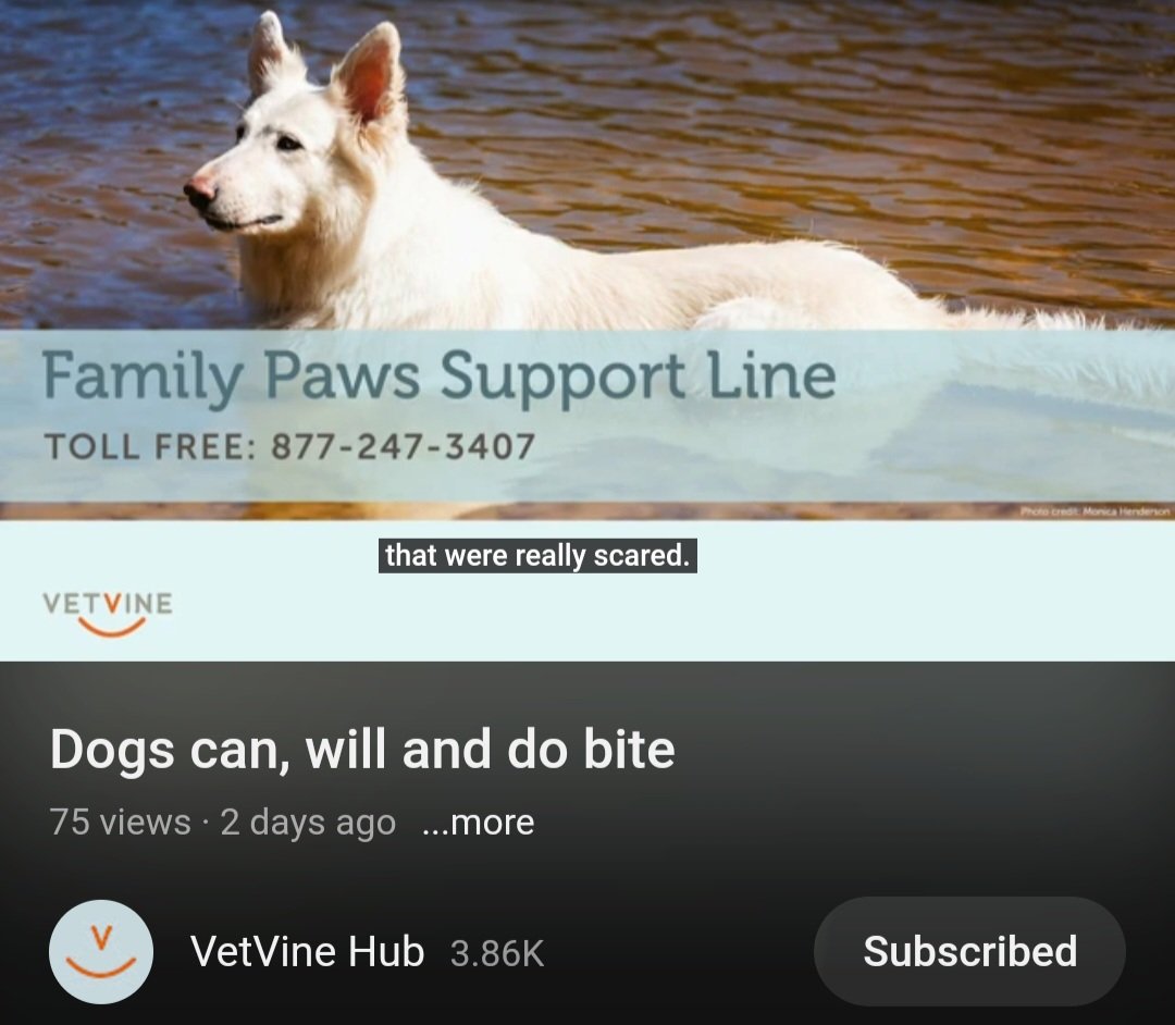 Susan_Dupres's tweet image. Vetvine Presents

Dogs Can, Will and Do Bite

#DogBitePrevention

youtu.be/HdFo2U6GDjE