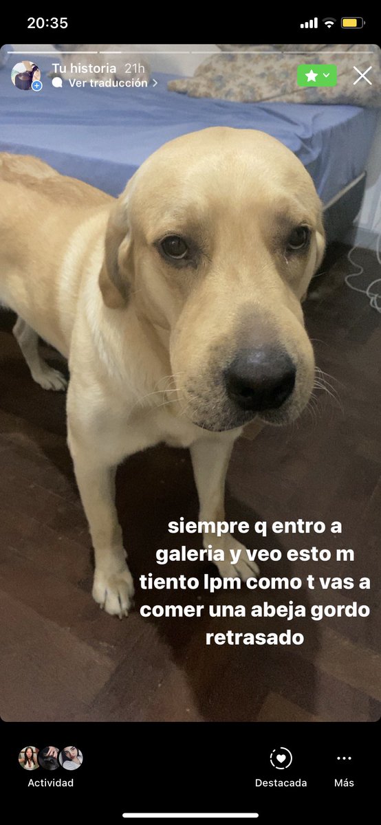 justo ayer subi esto