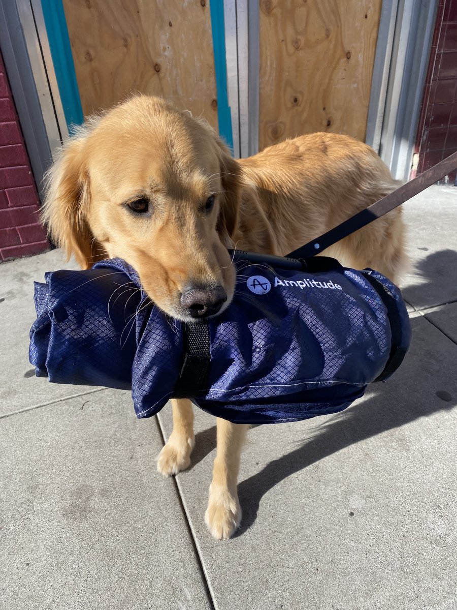 Amplitude_HQ's tweet photo. This #NationalPetDay, we’re giving you a peek into some of our most popular @SlackHQ channels: Meet the #cats and #doggosofamplitude ❤️

(#goatsofamplitude channel still under construction 🐐)

#LifeAtAmplitude https://t.co/NrDd8HbGHK
