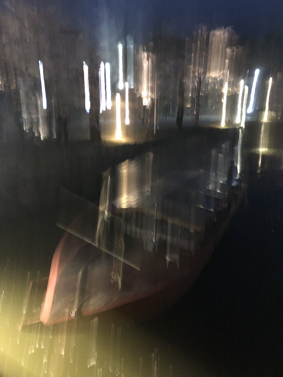 知らんあいだにこんなん撮れてました