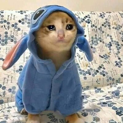 - سمعت أن نهاية العلاقات بتوجع
= مسمعتش انت عن نهاية الاجازات 💔🙂