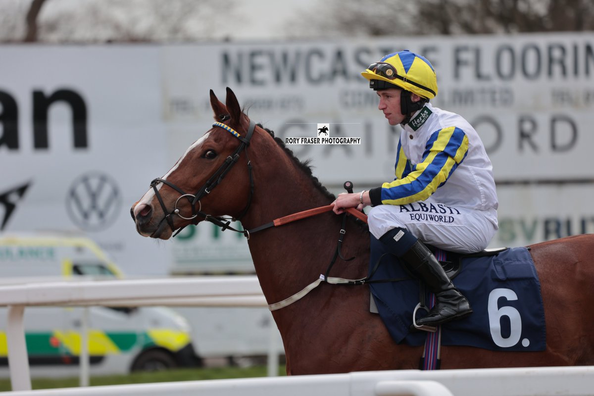 JESMOND DAWN (Dawn Approach x Strapless) at Newcastle on Monday for the class five maiden. Trained by @granttuerracing, owned by The Weighing Game and ridden by @CamHardie_96 A gelded full brother to Strapped, a one time winner and Group Three placed. Third on his debut last year