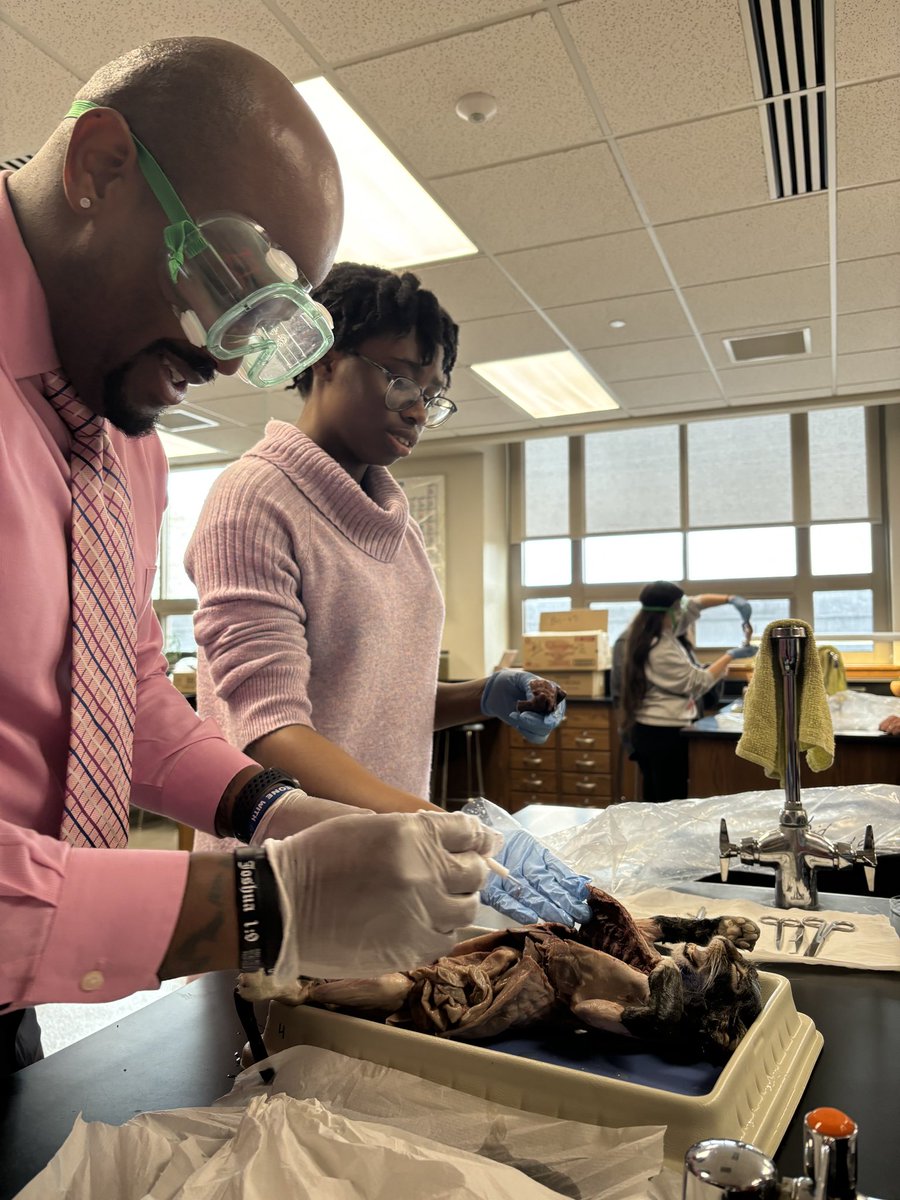 I walk into anatomy: Me: “Guys, you gotta get in there and move stuff around to find your parts.” Students: “Well let’s see you get in there wit’ cho’ pink tie!” 😂😂 Me: 🤔 🥽 and 🧤 “Let’s Go!” 🔪 😂😂😂 #StudentsLovedIt #ScienceROCKS #ThatSmell!!🙊🙊#BDU SCHOLARS!