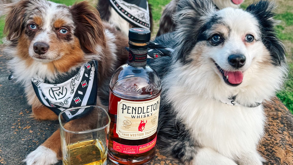 Tried and true. Just like your best friend(s). Happy #NationalPetDay to all the goodest boys. Pendleton Whisky is strictly intended for 21+ human consumption only and should not be ingested by pets.