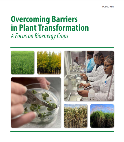 Wayne Parrott tweet media