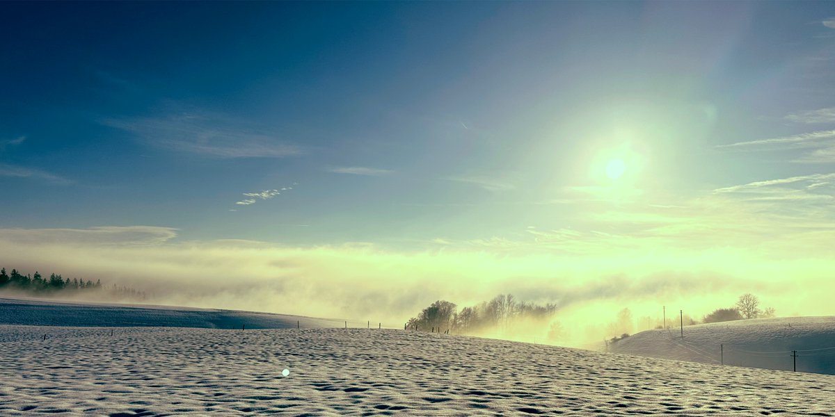 A misty winter landscape, #shotoniphone and edited using @affinitybyserif's #affinityphoto. #winter #borninwinter #winterphotography #photography #photographer #camera #iphonephotography #photooftheday