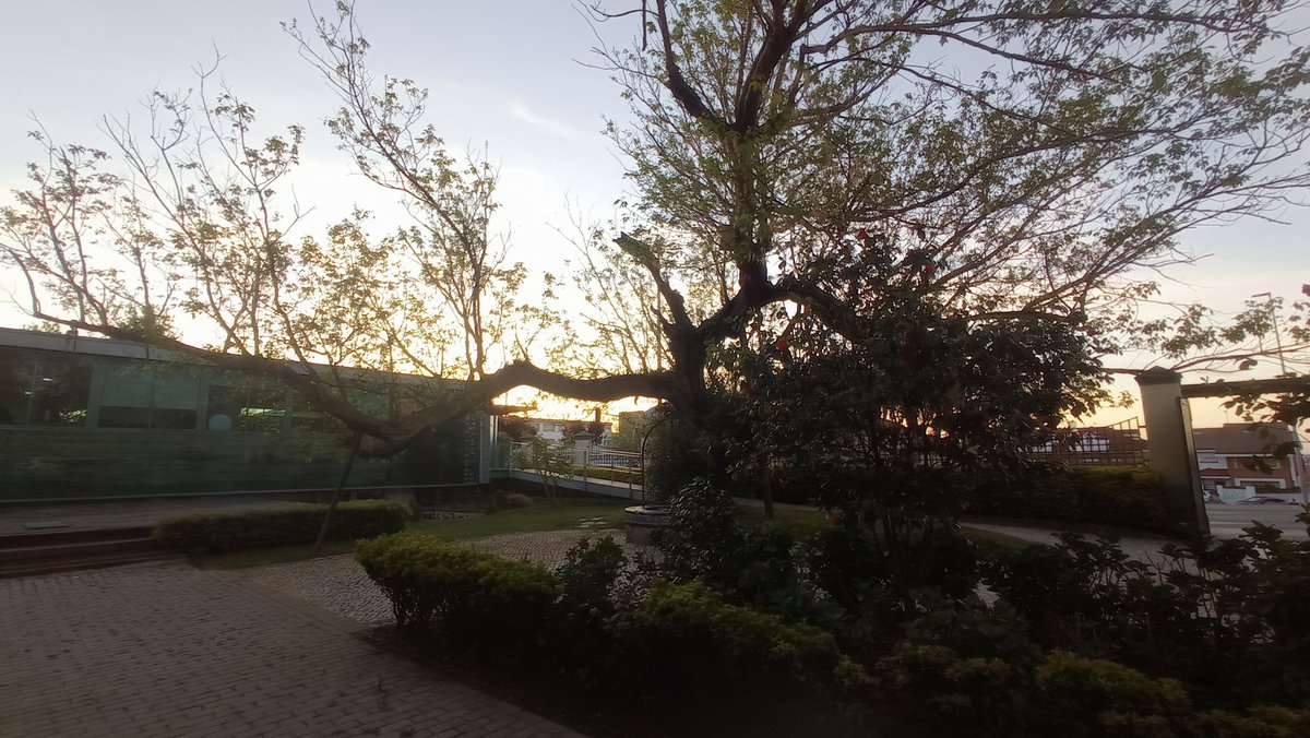 Así luce las Carolinas con los ultimos rayos del sol, ¿Os animaís a disfrutar de más atardeceres con nosotros? 📷📷📷
Visitanos, reserva en 942 03 34 02 o a través de lascarolinasgarden.com
#LasCarolinas #atardecer #Primavera #Santander #TurismoenCantabria