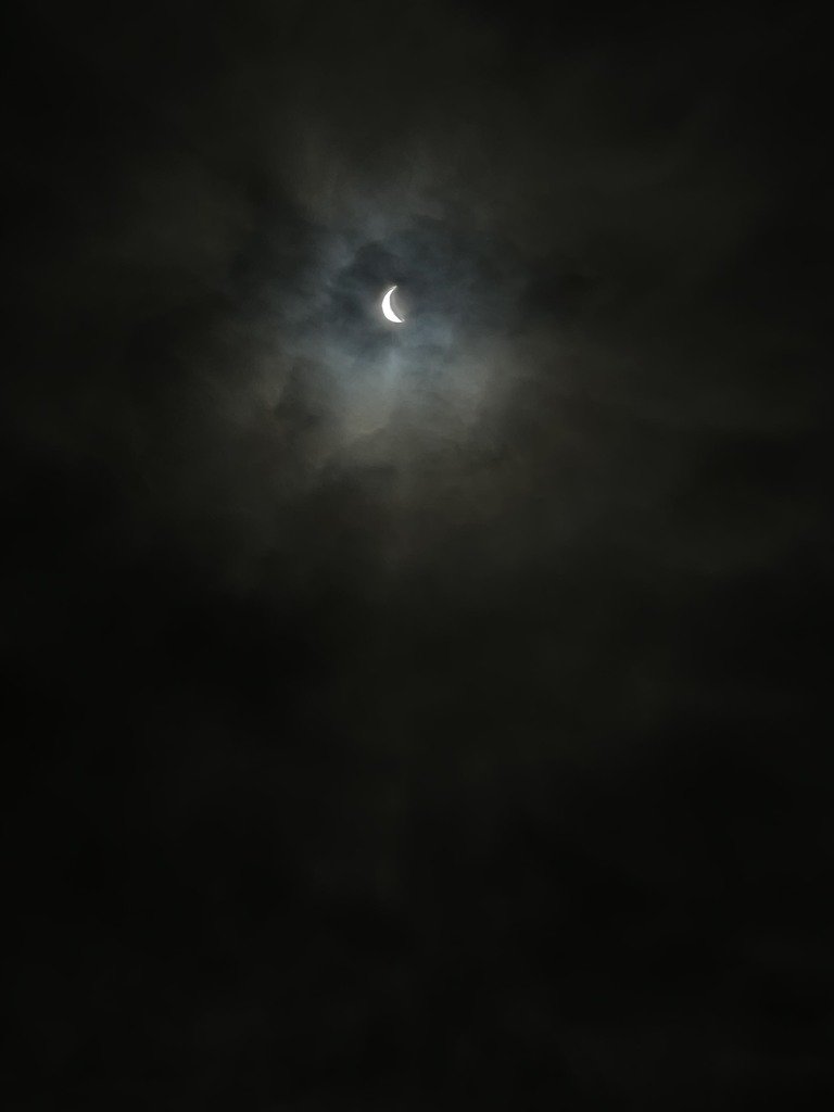 Looking toward the skies! #Lazar 7th grade Life Science Teacher Karin Wardell & students experienced the solar eclipse on Mon, Apr 8. Wardell, a Smithsonian Science Educator, secured glasses so students could safely view the unique phenomenon! #STEAM #STEM #EducateInspireEmpower!