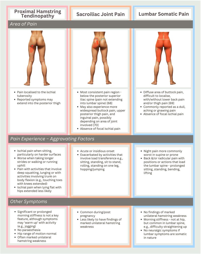 PhysioMeScience's tweet photo. Just published 🔥

Current and future advances in practice: tendinopathies of the hip

👇👇👇

https://t.co/aV4F72Kwdi https://t.co/MJdmp3vqYv
