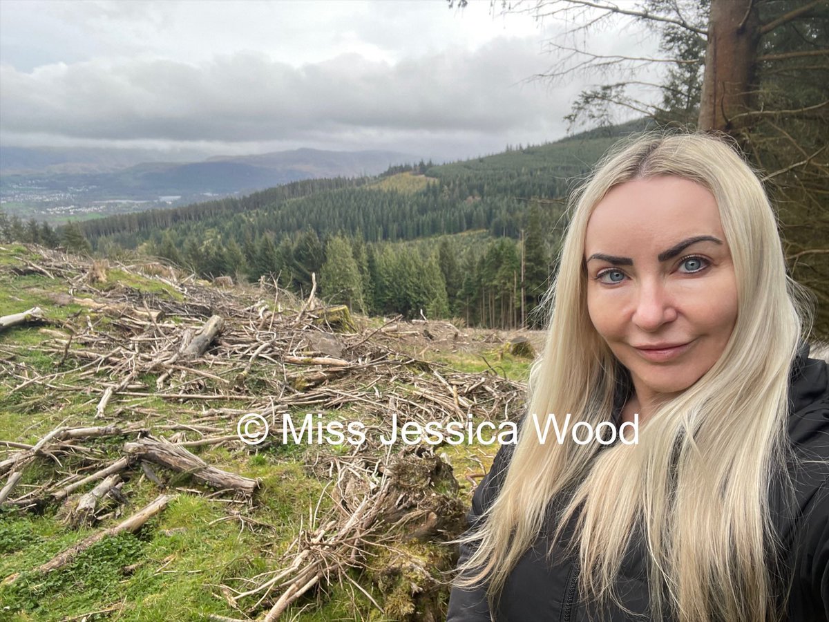 Been a lovely few days exploring around the Lake District 🌳 The wind stayed calm enough for this quick photo. Back to punishments on Tuesday 😈