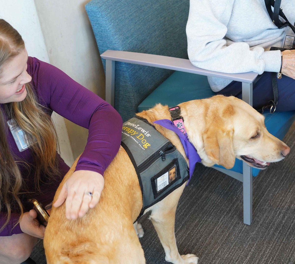 Every Thursday, dogs from the @DoveLewis Canine Therapy Teams visit the courthouse. These pups bring comfort to so many people, including staff, grand jurors, & victims. During #ChildAbusePreventionMonth, we recognize the big impact these dogs bring especially to child victims.