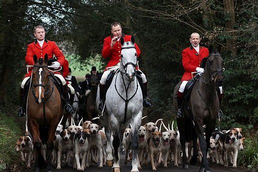 The Conservatives have threatened to legalise Fox Hunting because it will help with their grass roots support. Like if it will destroy their support. RT if you will never vote Conservative.