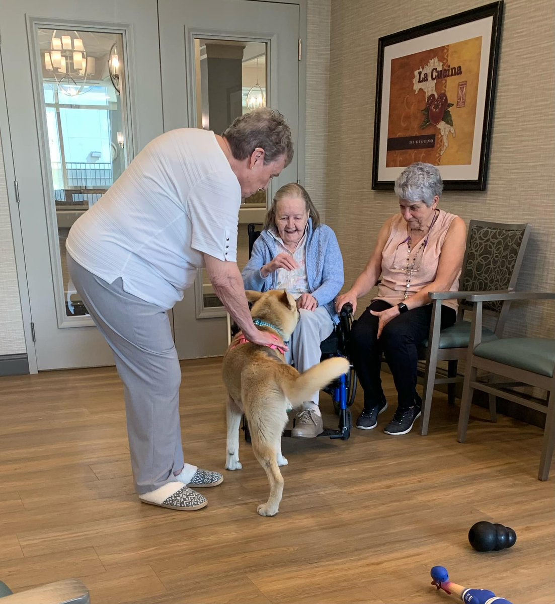 Thank you @CalgaryHumane Society for bringing Molly! We had such a lovely visit & she brought so much joy to our seniors! 🐶 #AspenHeights #AllSeniorsCare