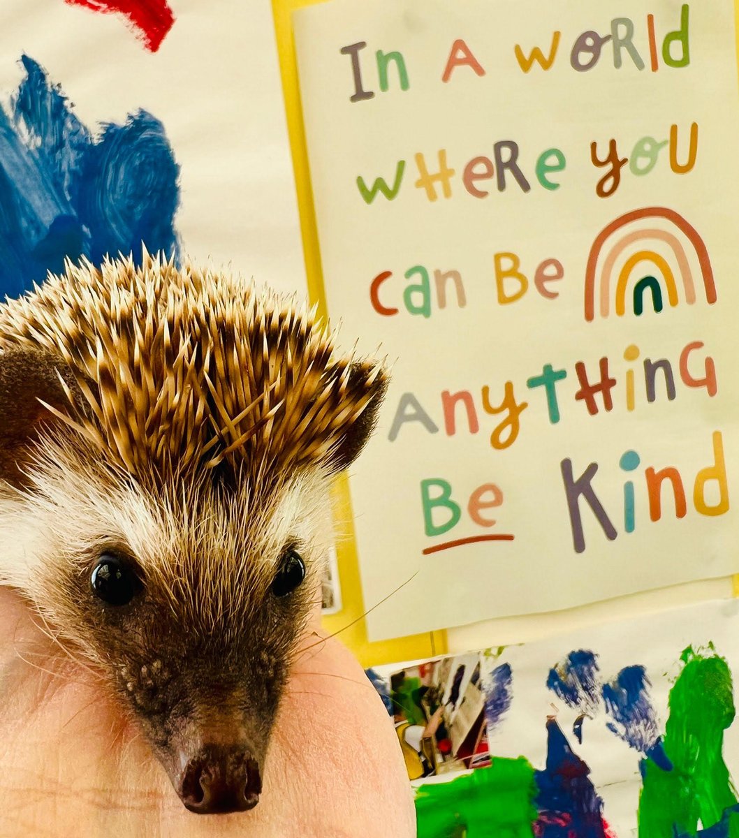 𝗜𝗻 𝗮 𝘄𝗼𝗿𝗹𝗱 𝘄𝗵𝗲𝗿𝗲 𝘆𝗼𝘂 𝗰𝗮𝗻 𝗯𝗲 𝗮𝗻𝘆𝘁𝗵𝗶𝗻𝗴, 𝗕𝗘 𝗞𝗜𝗡𝗗!
As I was setting up for an interactive animal education session at a school today, Huckleberry the hedgehog and I spotted this lovely poster that was on display!