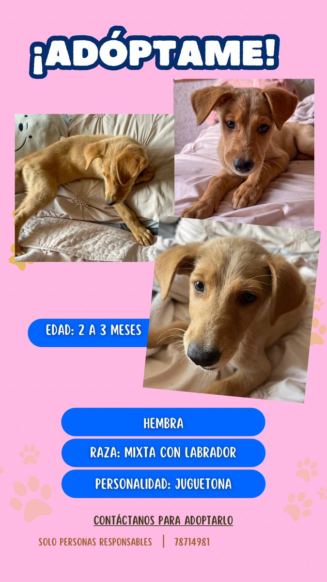 Bea. tweet media