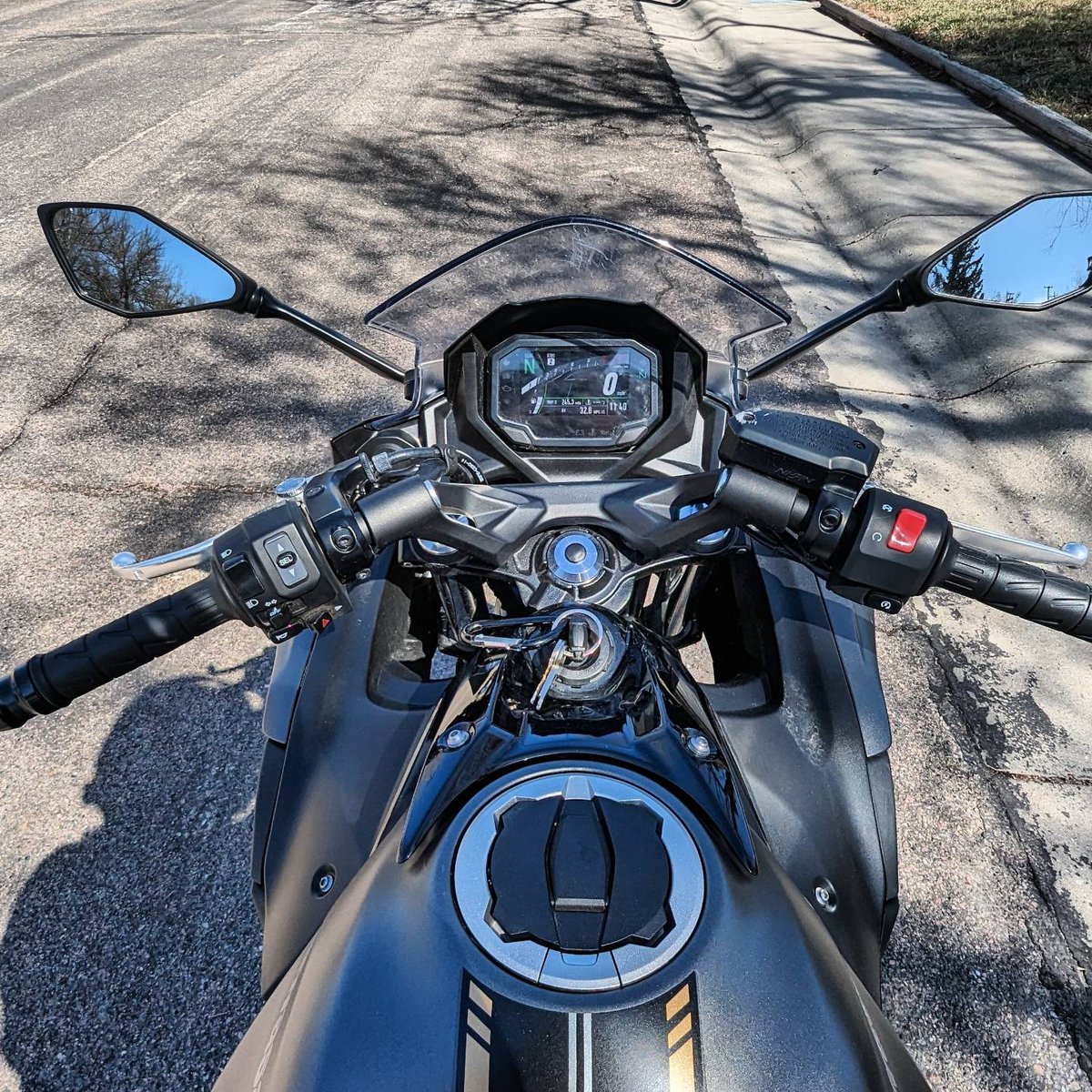 ThatBuffaloMan's tweet photo. The weather gods have bestowed unto me a fine day for riding. I shall seize this gift and zoomie all over town. https://t.co/mHocciihTm