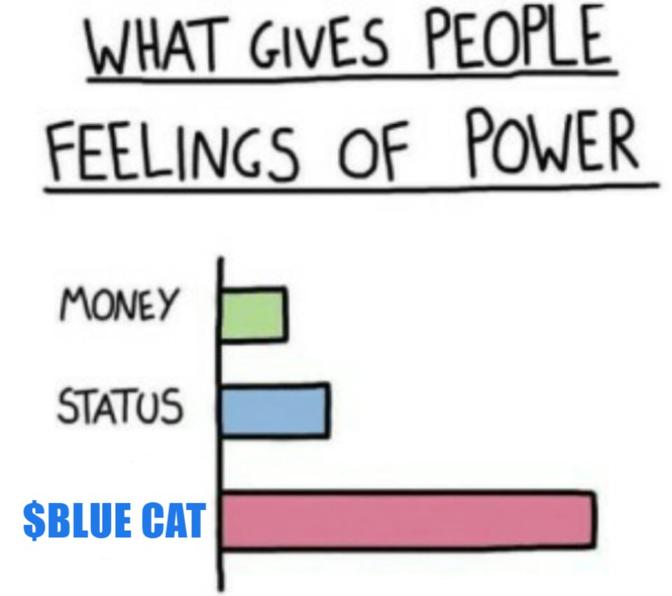 CatIsBlue_'s tweet photo. @CryptoGodJohn You should turn $BLUE first and feel the power of @CatIsBlue_ https://t.co/bLHlXYST2C