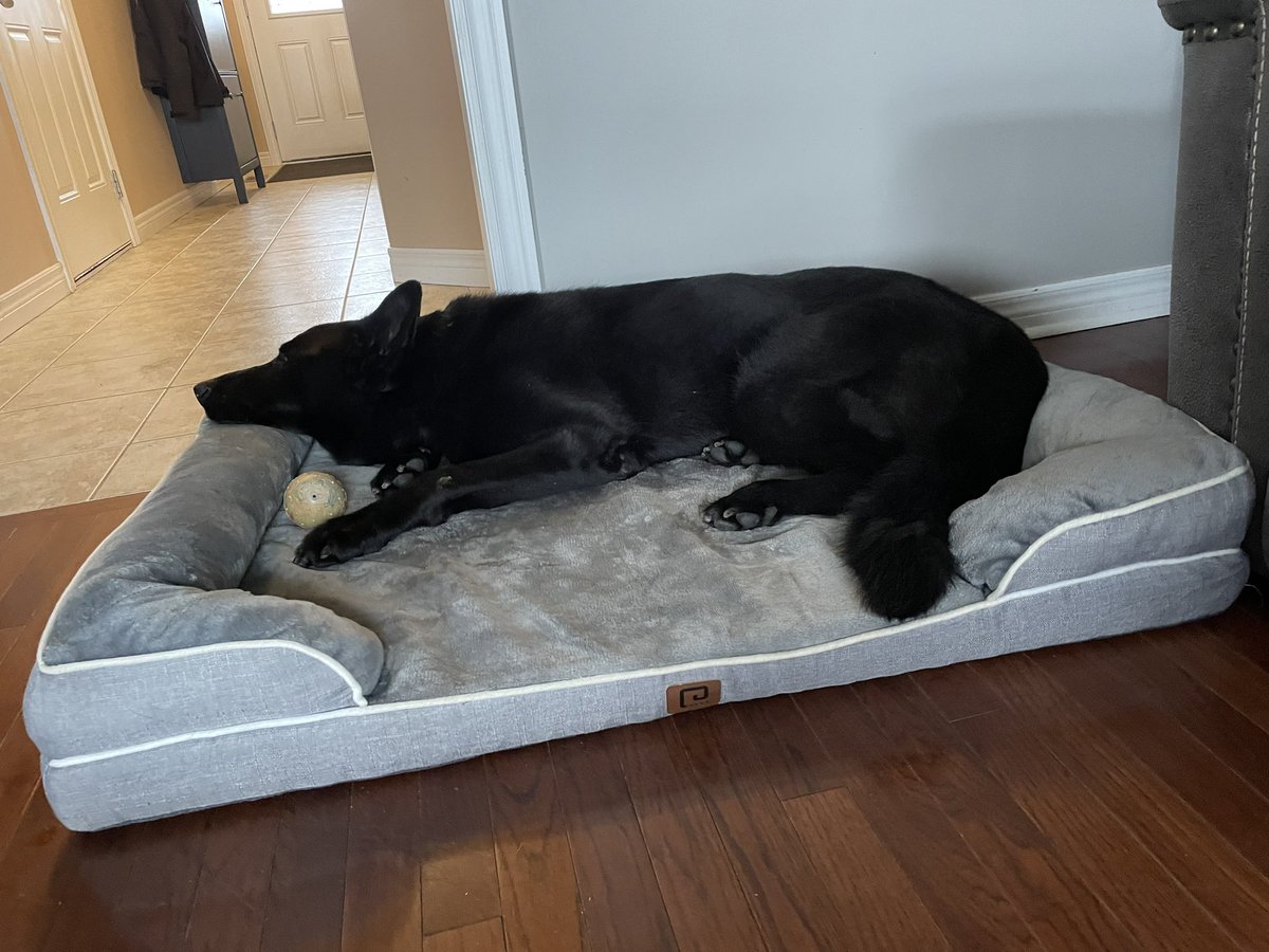 Retired PSD Jack tweet media