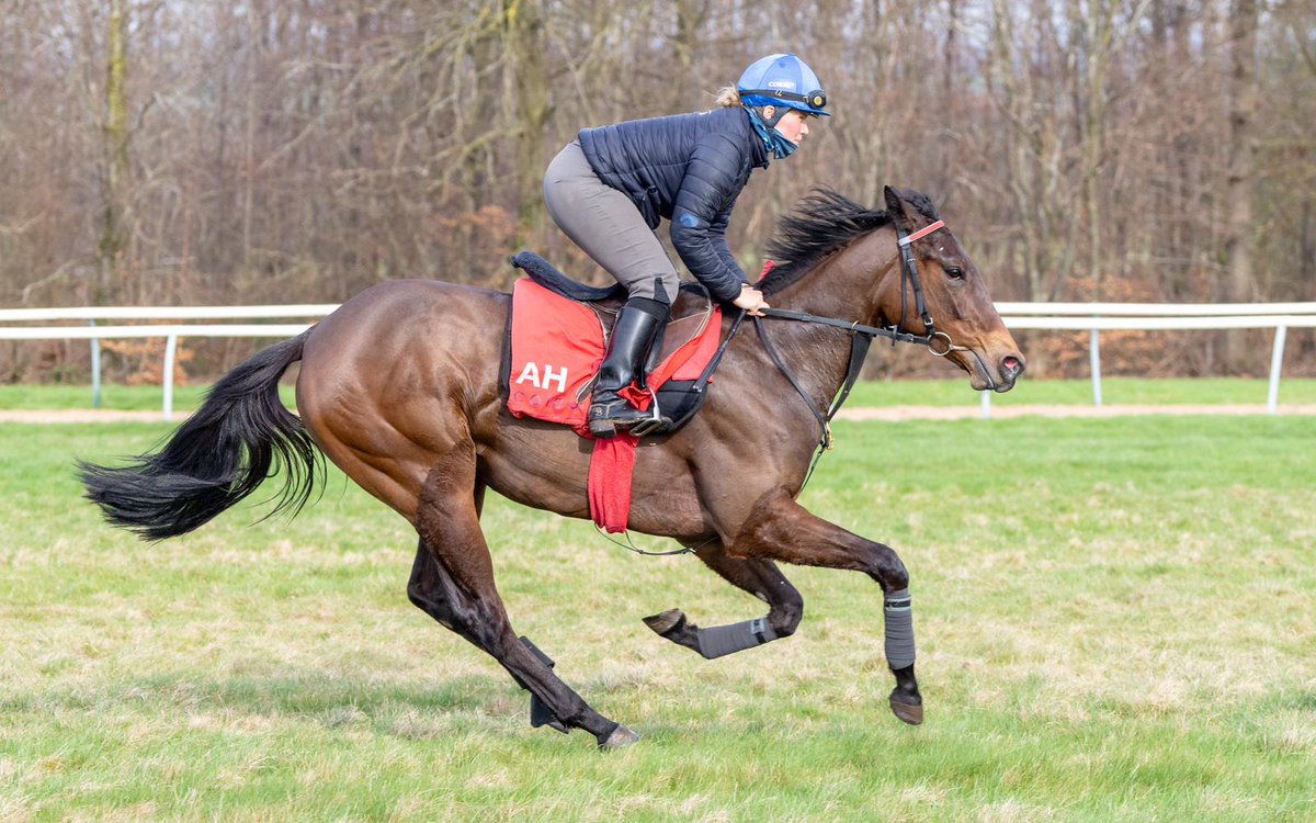 Just 5% remains in our Sioux Nation filly 'Innocent Settler' She has two entries next week and we'll be hunting a €10k @IREthoroughbred Incentive by winning a qualifying maiden. The filly is in training with @ahaynesracing who has already had two 2yo winners in 2024!…