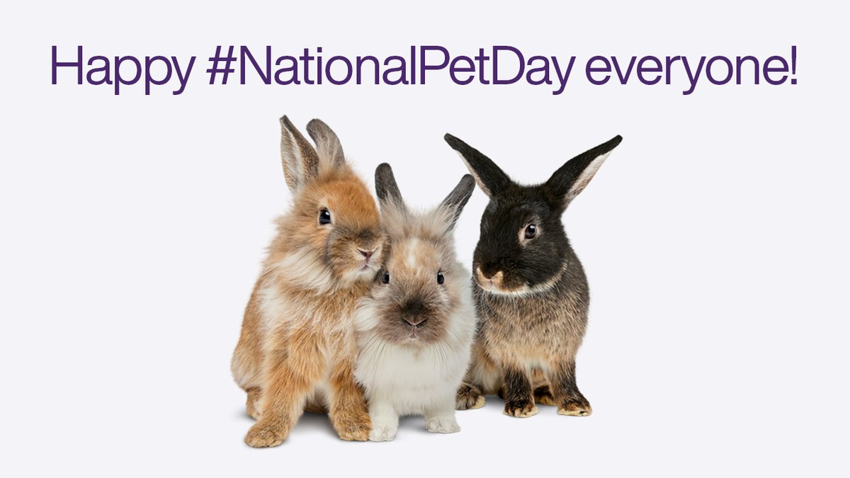 Happy #NationalPetDay to all of our furry and feathered friends out there!