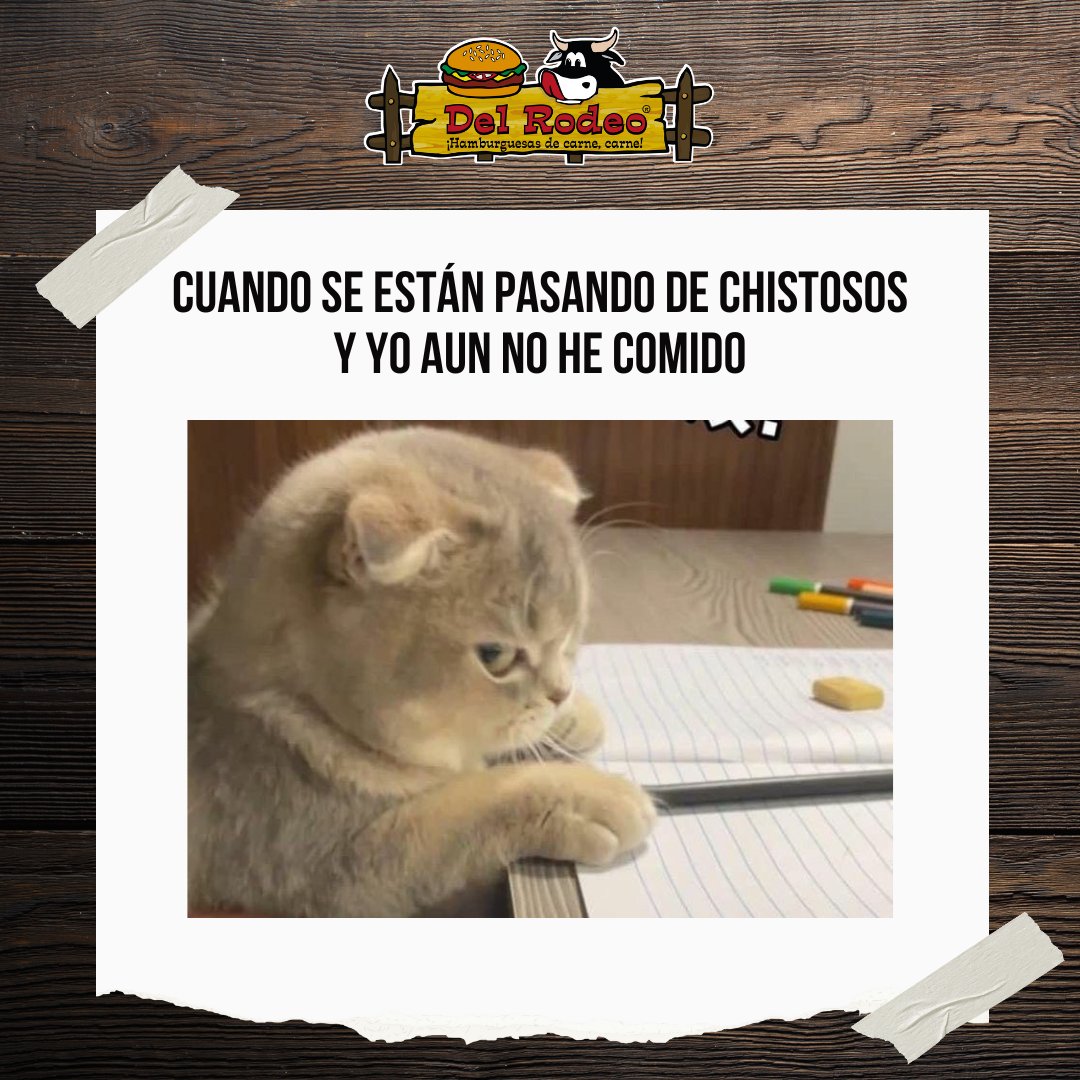 Del_Rodeo's tweet photo. Espero que tu interrupción sea para darme algo que comer🙂
.
.
.
.
.
#delrodeo #gatos #sisoy #delicioso  #Bogota https://t.co/ELYrYt5xUm