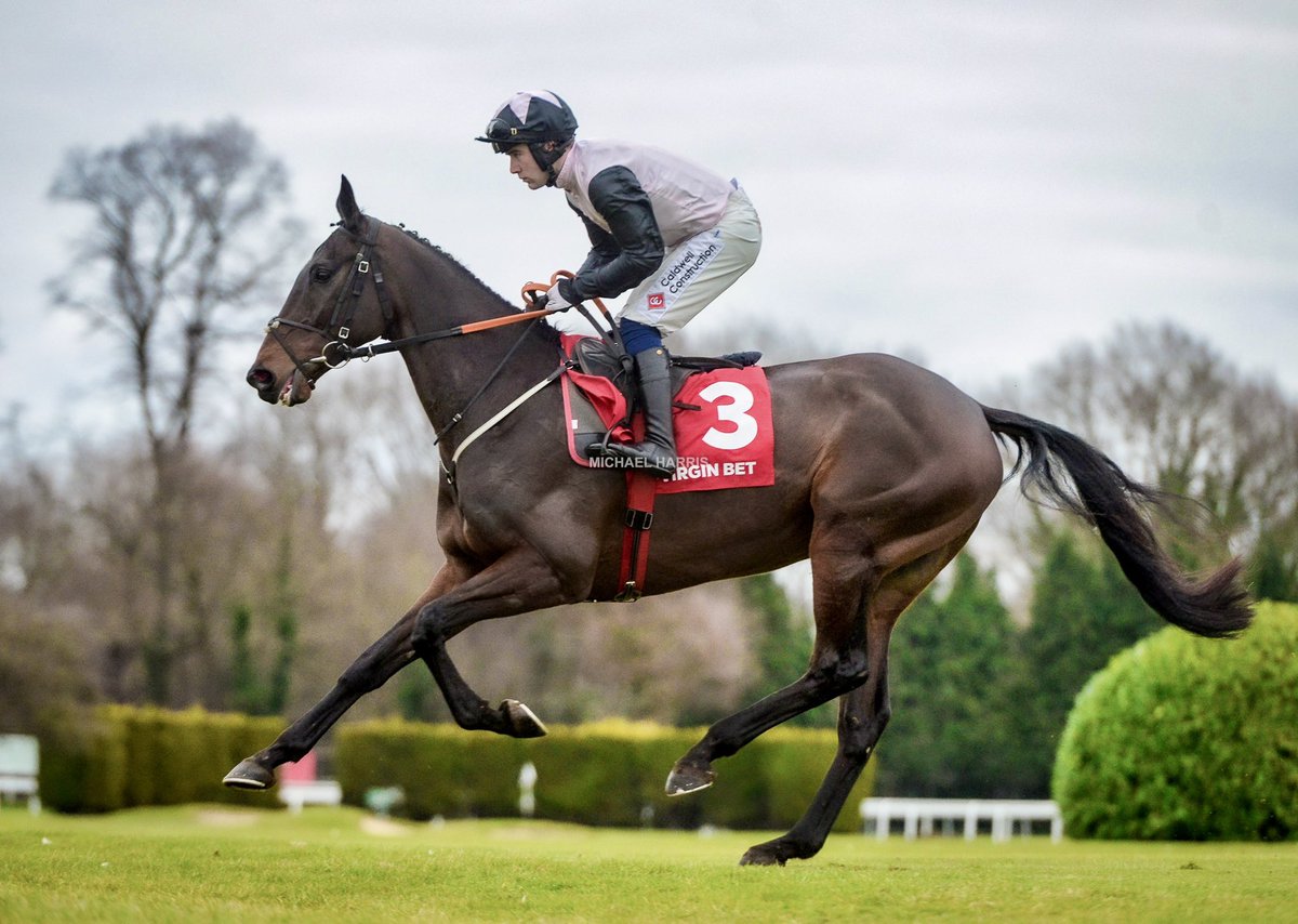 I feel priviledged to have seen Gerri Colombe cantering to post across the golf course at Sandown Park last year.