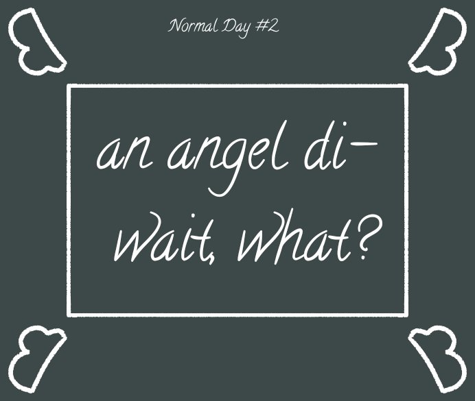 [ Just Another Normal Day.] 

☆

[ thread #2 ]