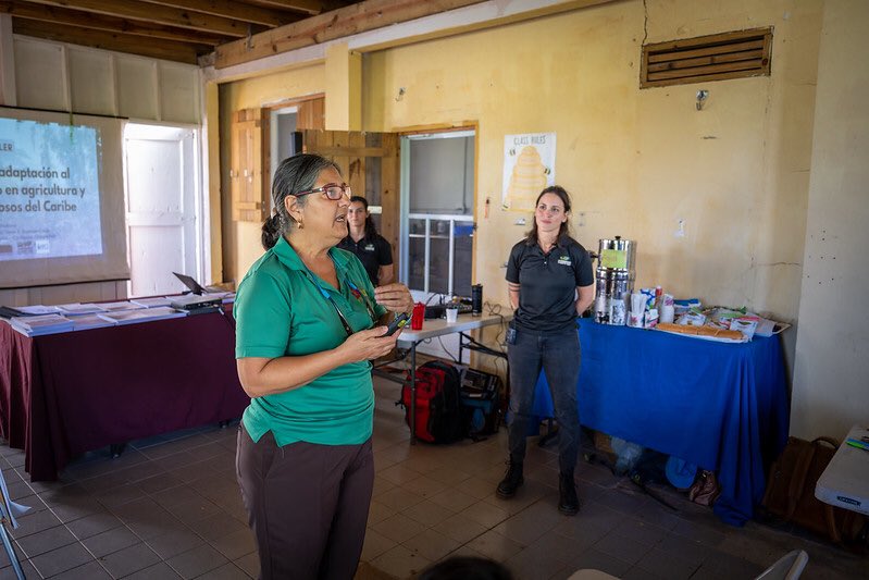 Caribbean ClimateHub tweet media