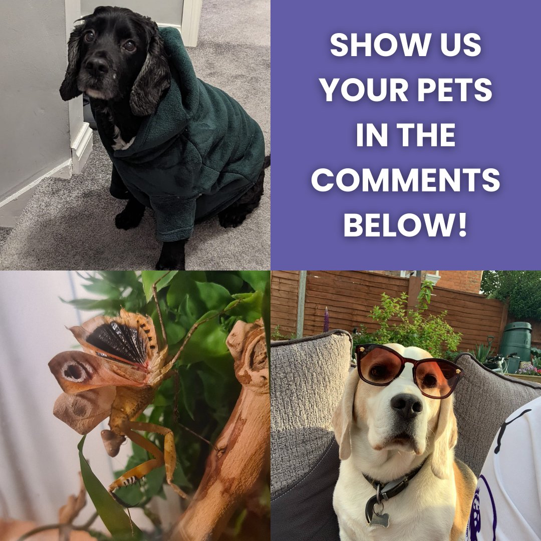 It's National Pet Day - check out our furry AND not so furry friends at TFG 😄👀 Add your pet pictures in the comments please - we'd love to see them 🙌 P.S. Swipe to final picture for a surprise pet....